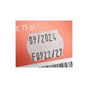 Box Noël - Quai Sud (Déstockage)