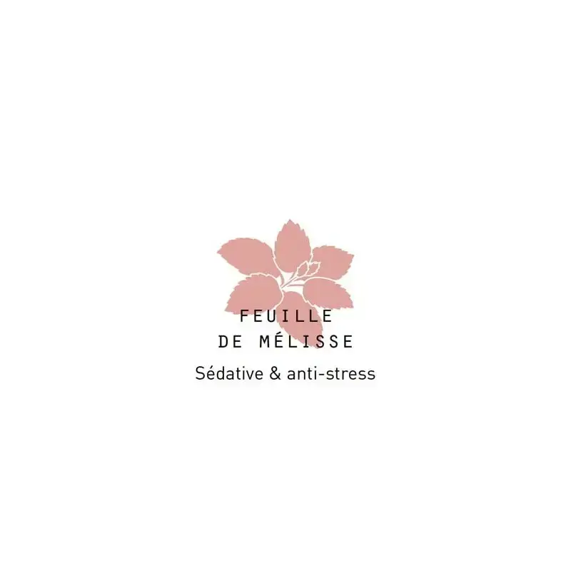 tisane-bio (3).webp