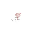 tisane-bio (5).webp