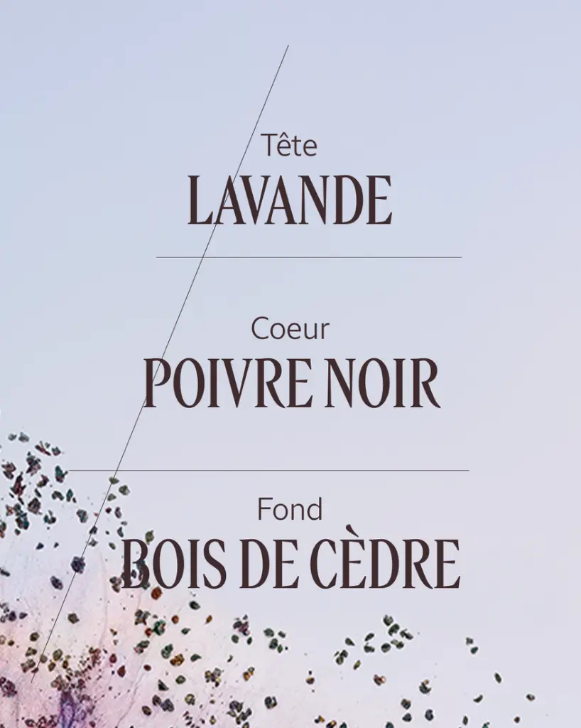 20ET050OCR25_4.webp