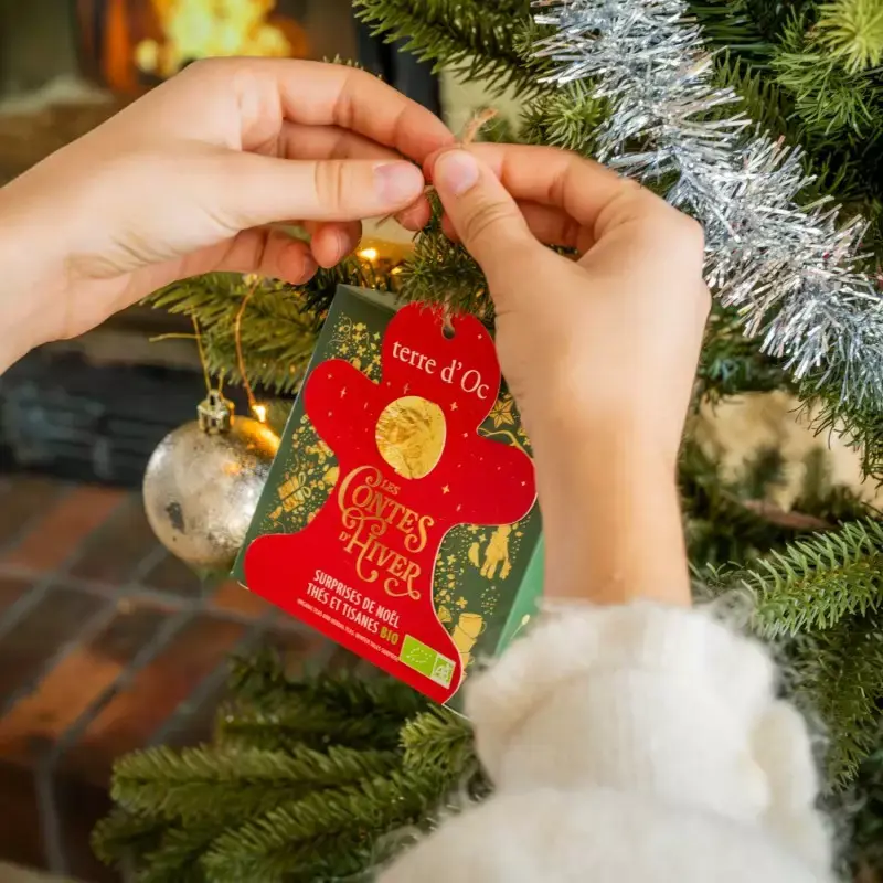 surprises-de-noel-6-sachets-de-thes-bio (1).webp
