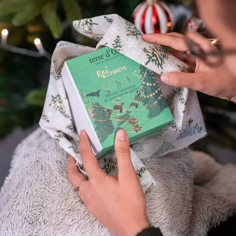 coffret-parfume-extrait-et-brule-parfum (2).webp