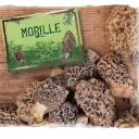 delice-aux-morilles-100g (1).webp