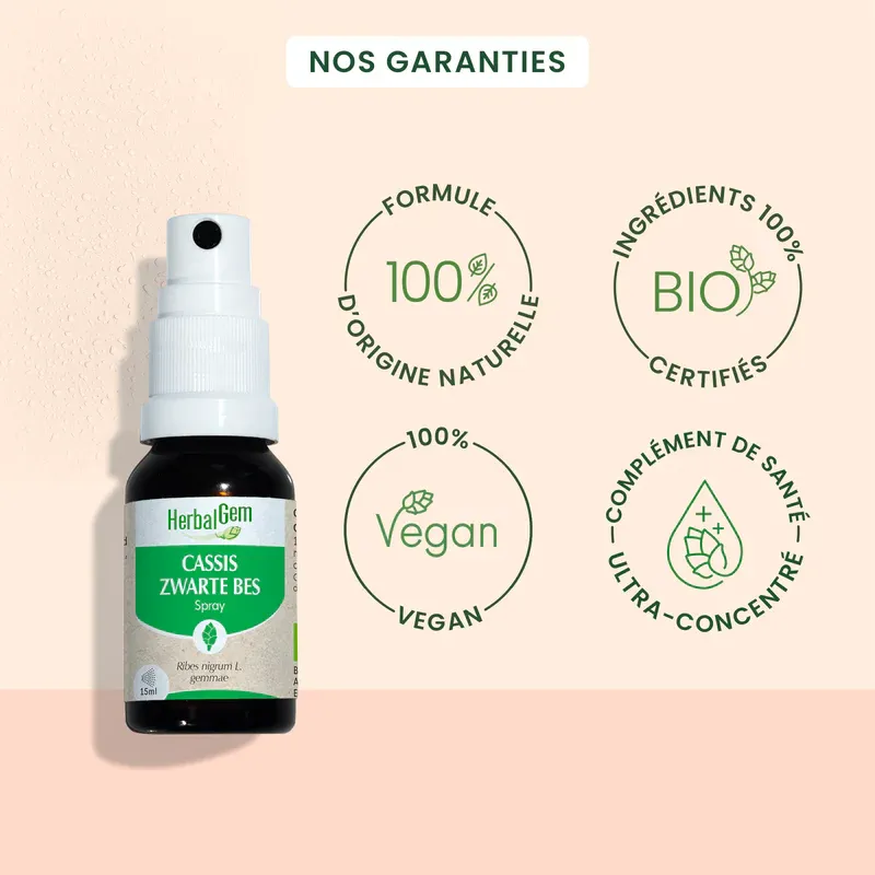 cassis-spray-herbalgem-15ml-fr24-5407008641498-03.webp
