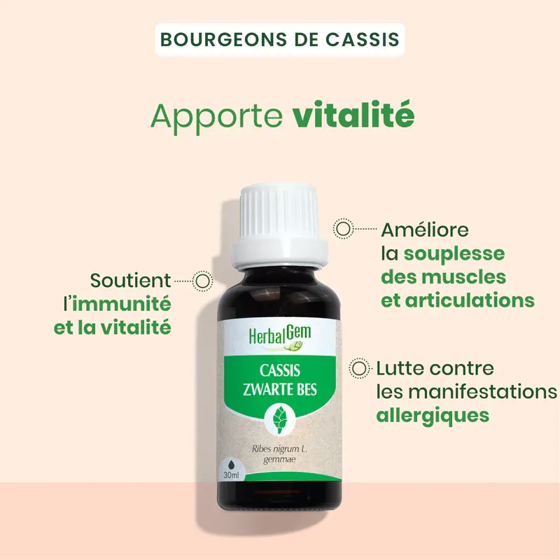 cassis-herbalgem-30ml-fr24-5425009101575-02.webp