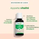 cassis-herbalgem-30ml-fr24-5425009101575-02.webp