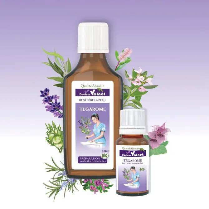tegarome-terra nature-alençon1.webp