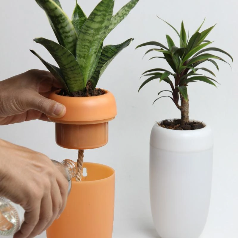 CarepotThumbnail_01.webp