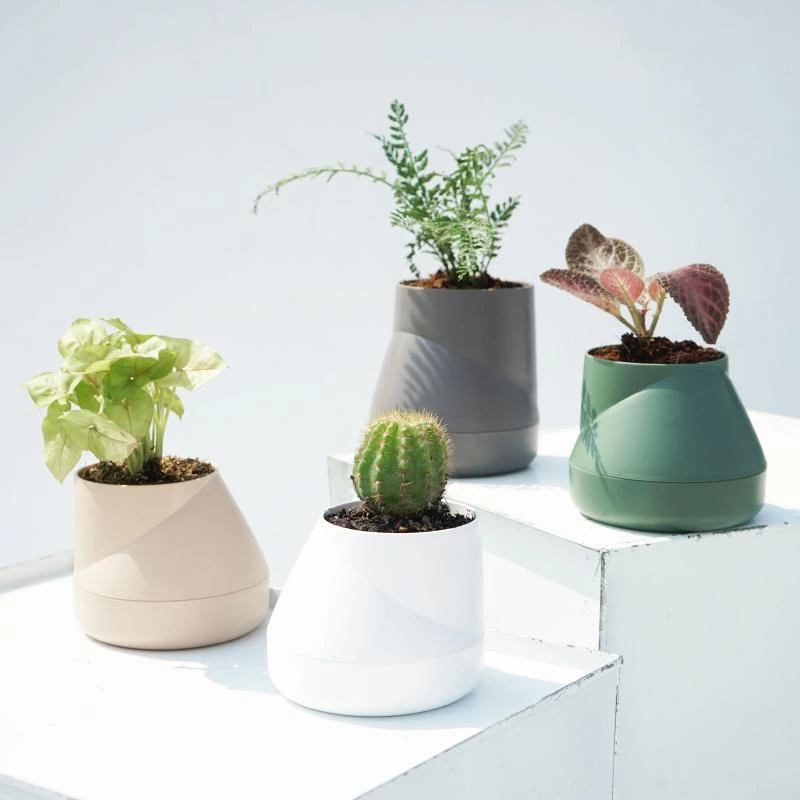QLX20001-2_Hill-Pot_03.webp