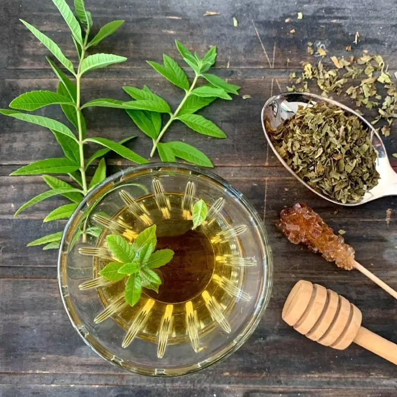 tisane-bio-verveine.webp