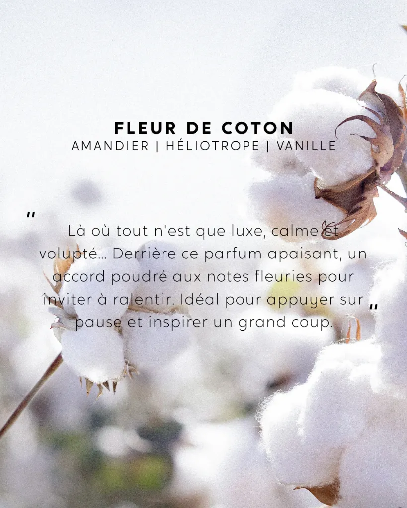 RECH-BOUQUET-COTON-3.webp