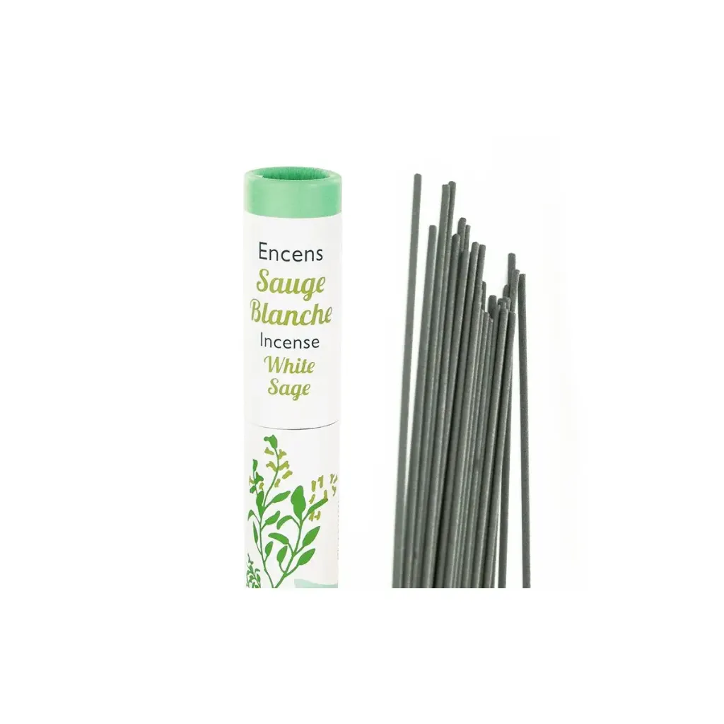 sauge-blanche (3).webp