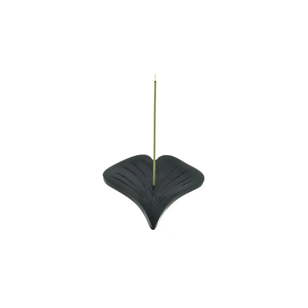 ginkgo (4).webp