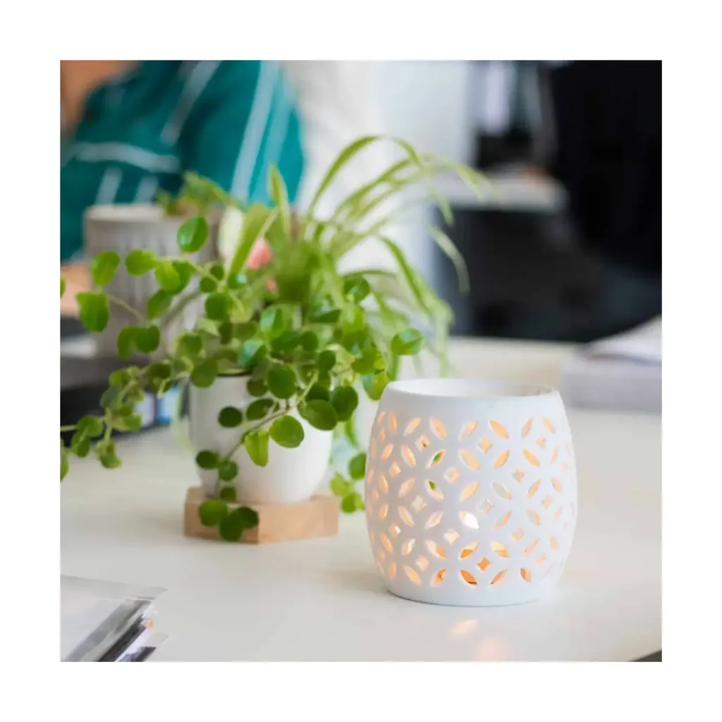 diffuseur-porcelaine-photophore-luciole (3).webp
