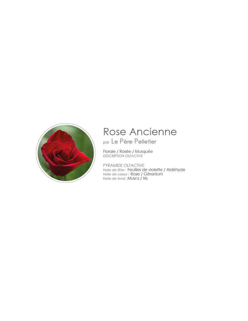 Diffuseur de parfum jolie fleur diamante - Rose ancienne