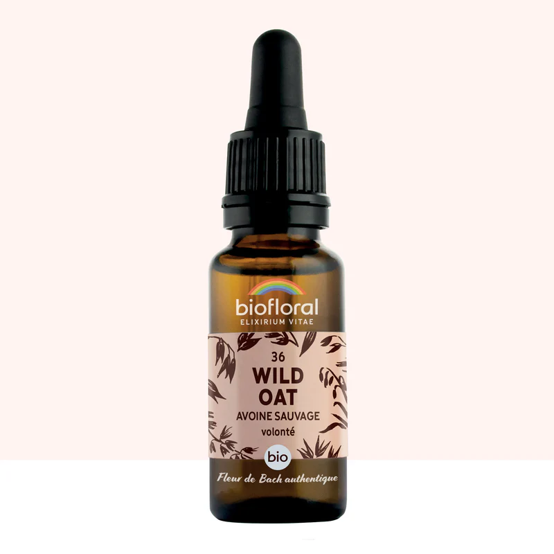 [BF036] 36 Wild Oat, Avoine Sauvage - Bio -Biofloral (20 ml)