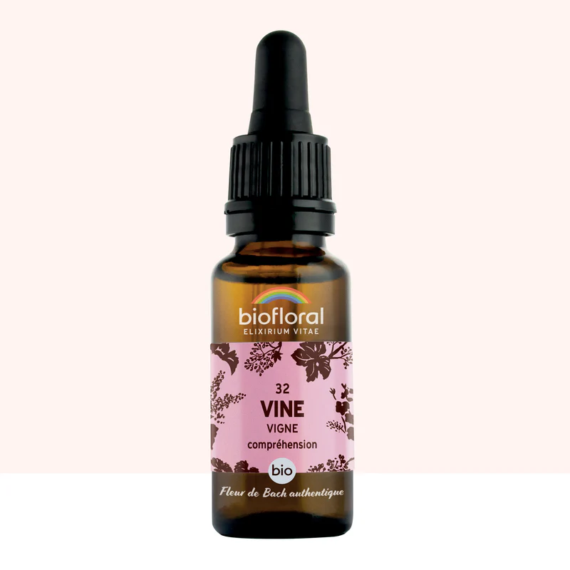 [BF032] 32 Vine, Vigne - Bio -Biofloral (20 ml)
