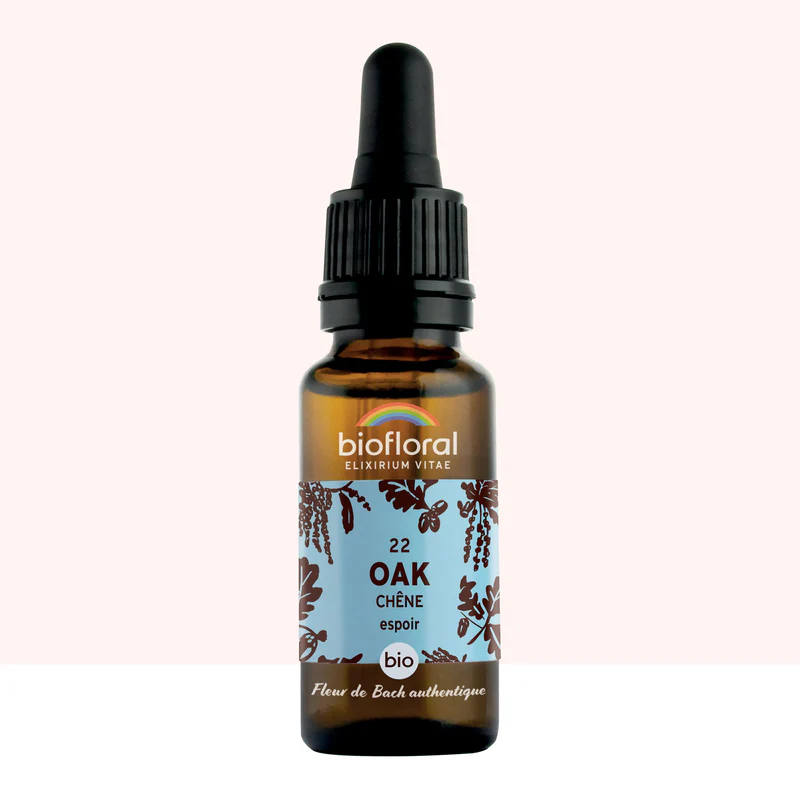 [BF022] 22 Oak, Chêne - Bio -Biofloral (20 ml)