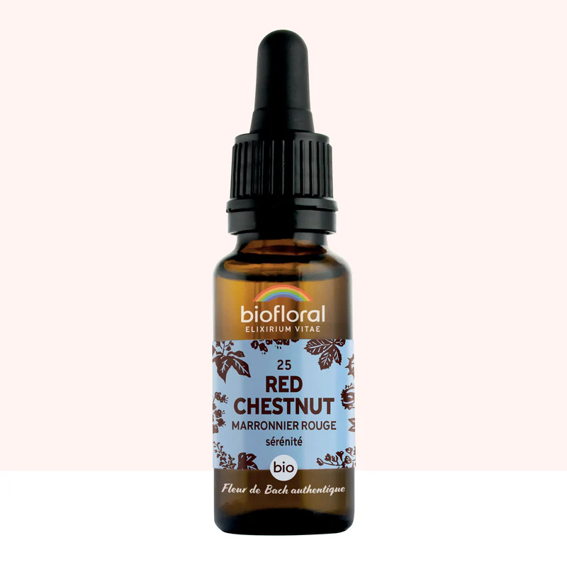 [BF025] 25 Red Chestnut, Marronnier Rouge - Bio -Biofloral (20 ml)