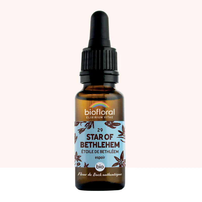 [BF029] 29 Star of Bethlehem, Étoile de Bethléem - Bio -Biofloral (20 ml)