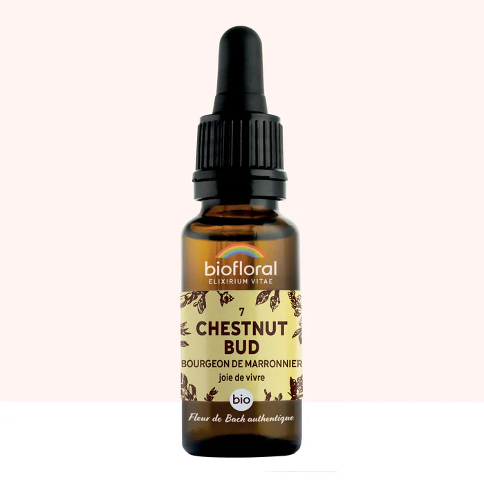 [BF007] 07 Chestnut Bud, Marronnier - Bio- Biofloral (20 ml)