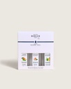 Coffret 3 recharges lampe Berger estival