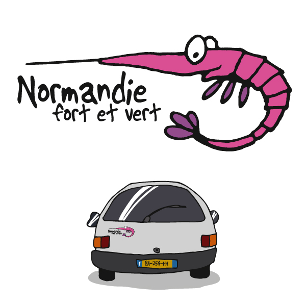 [69HE-02] Adhésif wouature - Heula (Crev rose peint. claire)