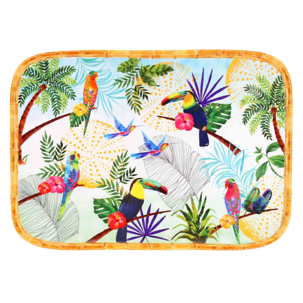 Grand plateau de présentation rectangulaire en mélamine toucans de Rio