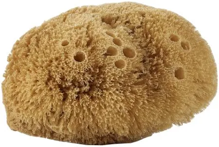 Eponge naturelle corps - Avril