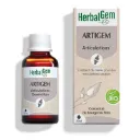 Artigem - complexe articulations - Bio - Herbalgem