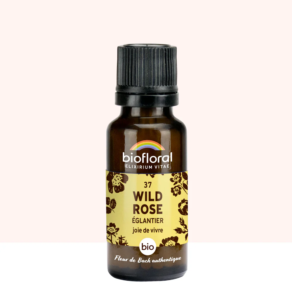 37 Wild Rose, Églantier - Biofloral 