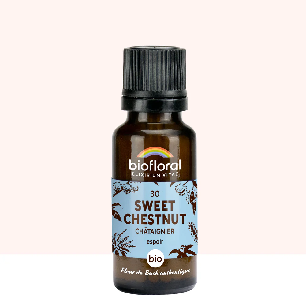 [BF030G] 30 Sweet Chestnut, Châtaignier - Bio -Biofloral (19.5 g granules)