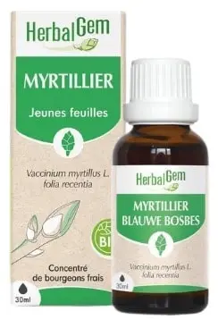 Myrtillier - Herbalgem