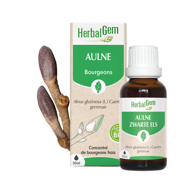 Bourgeon d'Aulne - Bio - Herbalgem