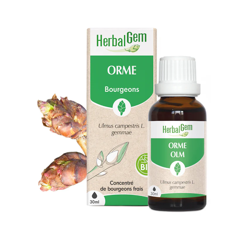 Bourgeon d'Orme - Bio - Herbalgem