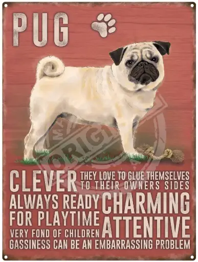 [M90764] Mini panneau Métallique - The original metal sign   (Pug)