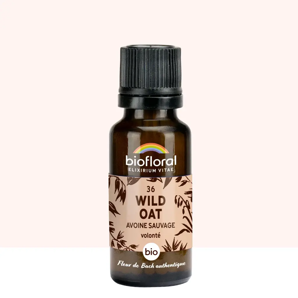 36 Wild Oat, Avoine Sauvage - Bio -Biofloral