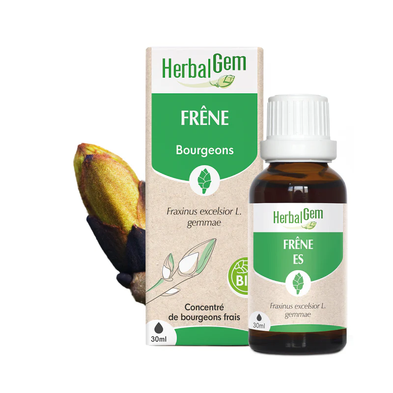 Bourgeon de Frêne - Bio- Herbalgem