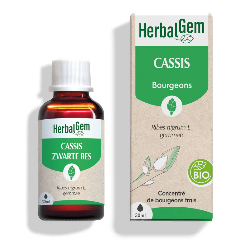 Bourgeon de cassis - Bio - Herbalgem