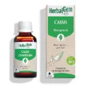 Bourgeon de cassis - Bio - Herbalgem