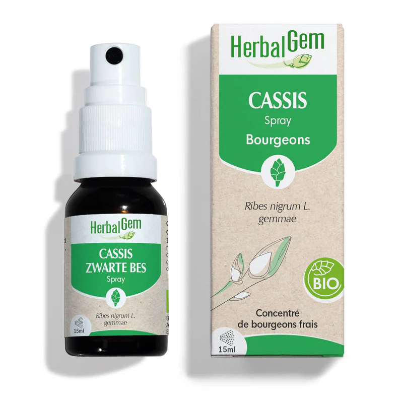 Bourgeon de Cassis - format spray - Bio - Herbalgem