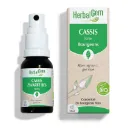Bourgeon de Cassis - format spray - Bio - Herbalgem