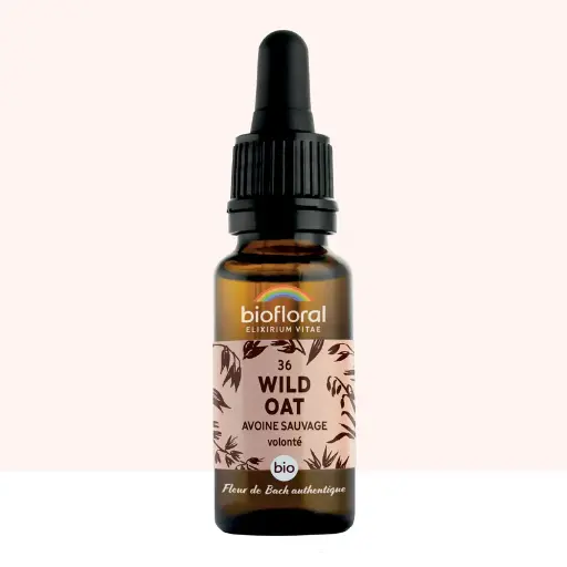 36 Wild Oat, Avoine Sauvage - Bio -Biofloral