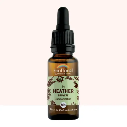 14 Heather, Bruyère - Bio -Biofloral