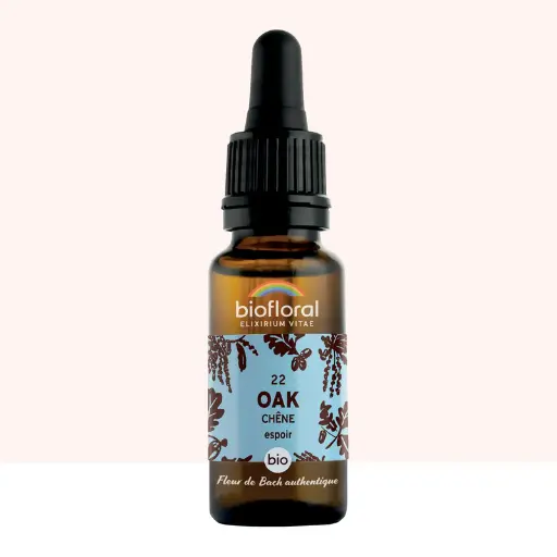 22 Oak, Chêne - Bio -Biofloral