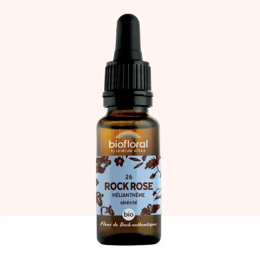 26 Rock Rose, Hélianthème - Bio - Biofloral