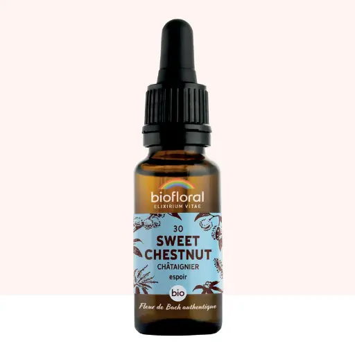 30 Sweet Chestnut, Châtaignier - Bio -Biofloral