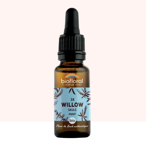 38 Willow, Saule - Bio -Biofloral