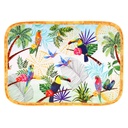 Grand plateau de présentation Rectangulaire en mélamine - Toucans de Rio