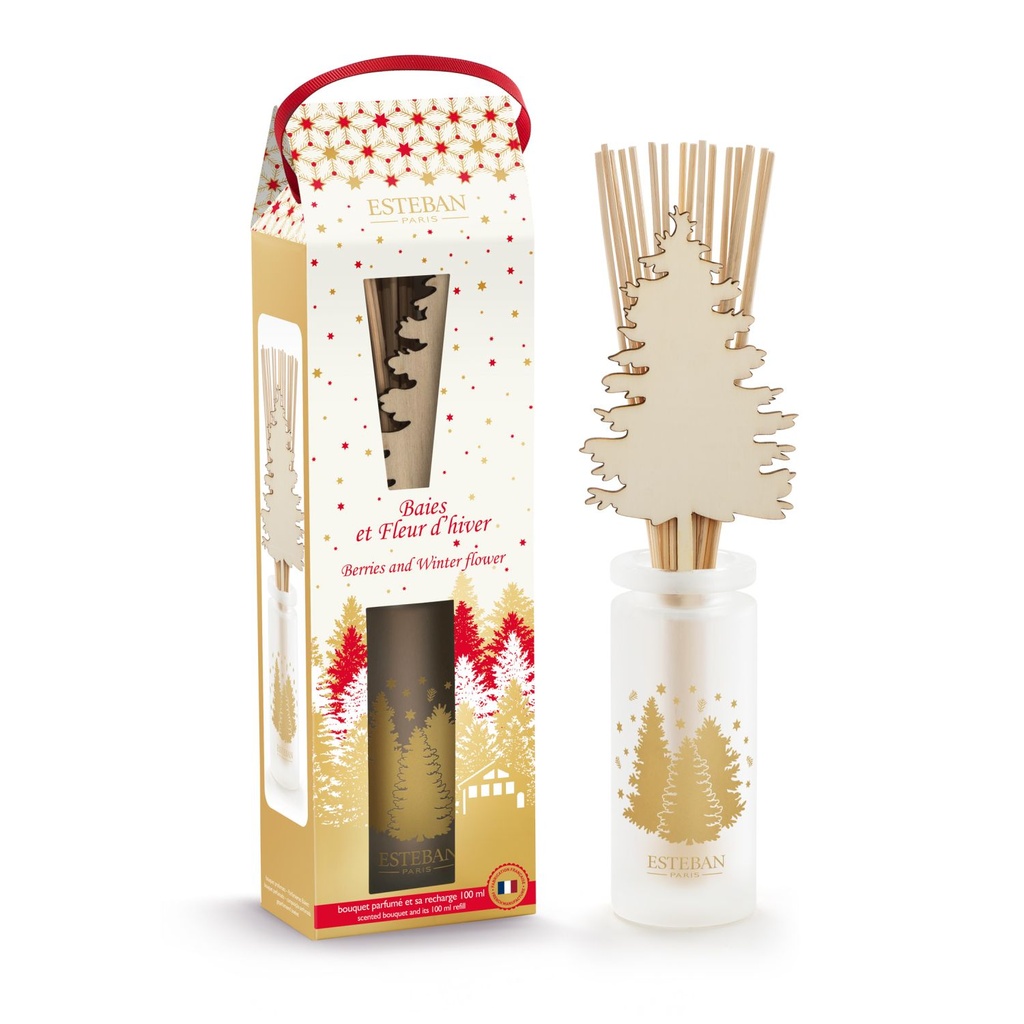 Bouquet parfumé - Baies et fleur d'hiver - Esteban